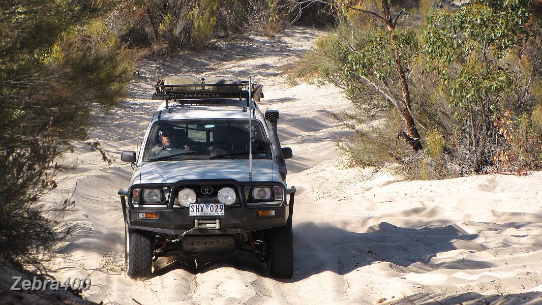 23-Jigger rounds the bend and looks forward to the next dune.jpg
